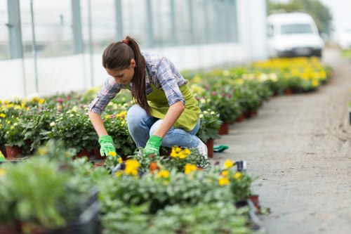 Garden landscaping ideas for a Vauxhall courtyard with paving and planting