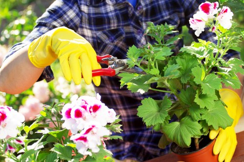 Landscaping pricing overview for Vauxhall properties
