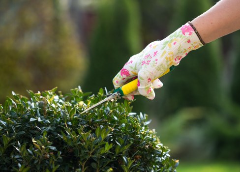 Landscaping complaint procedure introduction with a structured review process