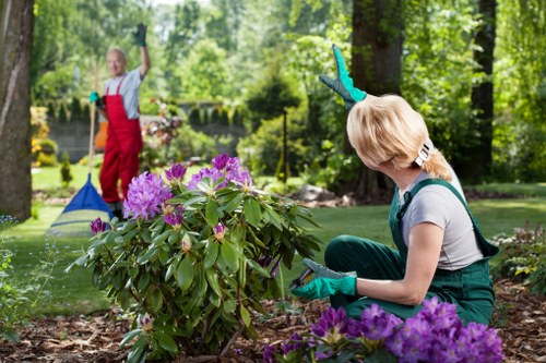 Urban garden redesign process for a Vauxhall home with access considerations