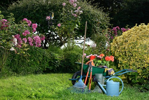 Landscaping Vauxhall introduction with garden design focus