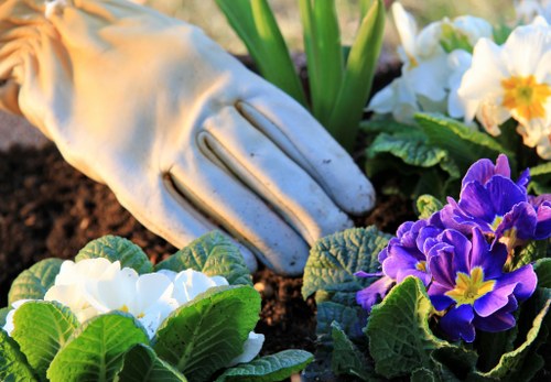 Waste removal and compliance during landscaping service