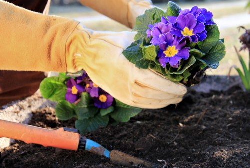 Safe landscaping equipment and tidy work area