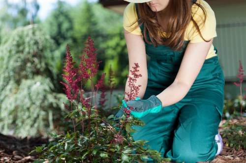 Timely response and complaint handling for a landscaping service issue