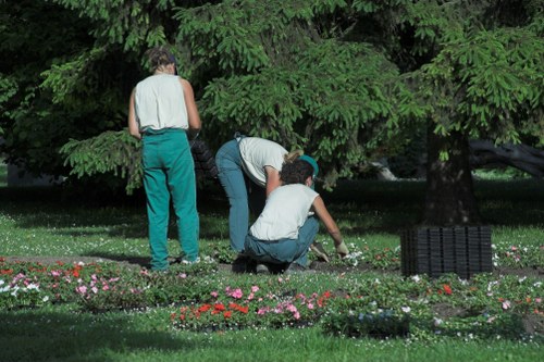 New turf installation in a compact urban outdoor space