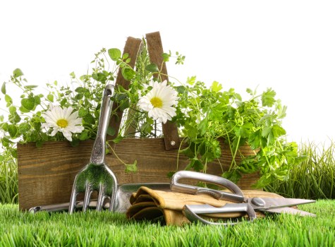Garden works, payment terms, and project scheduling for landscaping