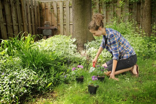 Stylish privacy screening and planting in a Vauxhall garden